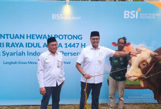 BSI Salurkan 24 Ribu Hewan Kurban, Bukti Nyata Ekonomi Syariah yang Berkeadilan