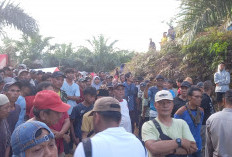Puluhan Pendemo PT DSJ Diamankan Polisi, Satu Pelaku Residivis Narkoba
