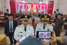 Hotel dan Reklame di Kepahiang Nunggak Pajak, Segini Jumlahnya