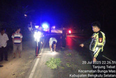 Honda CVF 150 VS Mio GT, 2 Pengendara Tewas, Begini Kejadiannya