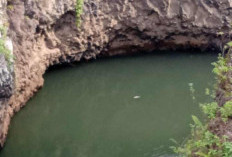  Heboh Ikan Sungai Musi di Kepahiang   Banyak Mati, Ini  Diduga Penyebabnya