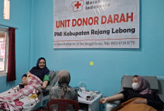 PMI Rejang Lebong Kumpulkan Hingga 300 Kantong Darah Setiap Bulan