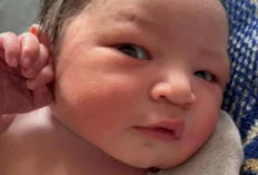 Ditemukan Dalam Kardus Pinggir Jalan, Begini Kondisi Terbaru Sang Bayi Malang