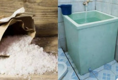 Bukan Mitos, Tabur Garam di Kamar Mandi Sebelum Tidur, Ternyata Ini Gunanya