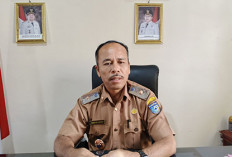 Dana Bagi Hasil Sawit untuk   Bengkulu Utara Turun, Segini Jumlahnya