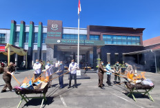 Kejari Rejang Lebong Musnahkan BB, Kasus Kejahatan Masih Tinggi