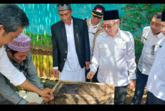 Pondok Pesantren Di Bengkulu adi Pilot Projek Lebah Madu Trigona, Ini Penjelasan Kanwil Kemenag 