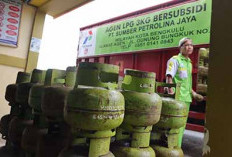 Rawan, Gas Subsidi Diawasi Ketat: Pemprov Bengkulu Usulkan Tambah Pasokan  