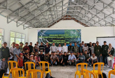 Komitmen Dukung Rehabilitasi Hutan dan Lahan Berkelanjutan, PLN dan BPDAS Ketahun Gelar Sosialisasi