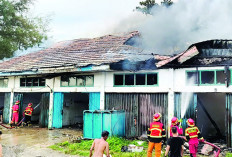 Balita Tewas Korban Kebakaran TPI, Ini Keterangan Kabag Ops Dinas Damkar dan Penyelamatan Kota Bengkulu