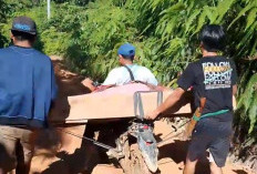 Lagi, Warga Kaur Terpaksa Angkut Pasien Kritis dengan Kotak Kayu