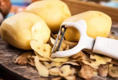 Sering Dibuang, Iniloh Manfaat Kulit Kentang Untuk Kesehatan  