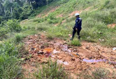 Terindikasi Cemari Sungai, Dewan Seluma Desak PT SSL Tutup Sementara  