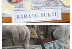  Sindikat Dolar Palsu Terbongkar! 5 Orang Ditangkap Bareskrim,Kronologi Penangkapan dan Lokasi Jadi Sorotan 