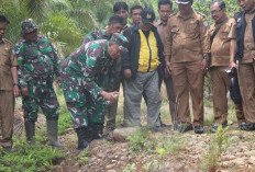 Peninjauan Titik Nol TMMD ke-128, Kodim 0425/Seluma Siapkan Pembukaan Jalan di Lubuk Lagan