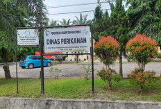  Mukomuko Segera Tetapkan Lokasi Perumahan Nelayan, Ini Lokasinya