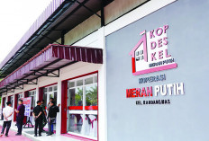 Juli, 25 Koperasi Merah Putih di Bengkulu Ditarget Beroperasi