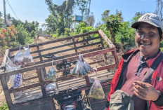 Perjuangan Keras Tukang Sayur Cukupi Kebutuhan Keluarga, Untung Tipis, Irsan Tetap Keliling Menjemput Rezeki