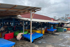 Cuaca Buruk, Harga Ikan Naik, Sekarang Jadi Segini