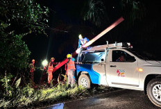 Tiang Listrik Tumbang Akibat Hujan Deras, ULP PLN Manna Kerja Ekstra Pulihkan Jaringan di Tengah Malam