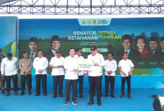  Program Senator Peduli Ketahanan   Pangan di Benteng Dilaunching, Ini Tujuannya