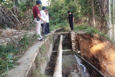  Begini Penanganan  Irigasi Jebol  oleh Dinas PUPR Mukomuko