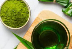 Benarkah Daun Suji Dapat Mencerahkan Kulit? Beirkut  Manfaat dan Cara Mengelola Daun Suji Untuk kecantikan 
