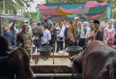 Dituding Pakai Modal Bumdes,   Kades Penago Baru Membantah