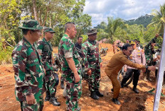 Ribuan Bibit Lele Ditebar di Lubuk Lagan