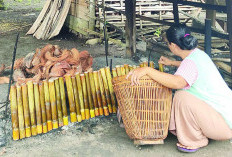 Lemang Tapai, Warisan Kuliner Bengkulu Selatan, Segini Harganya