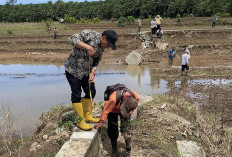 186,2 H Lahan Pertanian Terdampak   Banjir, Distan Siapkan Bantuan Bibit