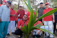 Tanam 1.000 Pohon Kelapa, Ini Tujuan Penjabat Wali Kota Bengkulu