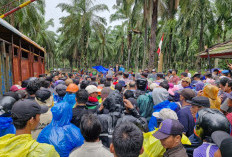 Ganggu Operasional Perusahaan, Ratusan Karyawan PT Agricinal Usir Paksa FMBP