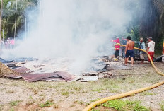 Si Jago Merah Mengamuk, 1 Unit Rumah Warga BU Ludes, Ini Pemicunya