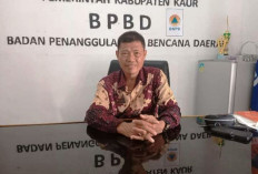 Kaur Dilanda Cuaca Ektrem, Waspada Longsor dan Pohon Tumbang 