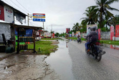 Langganan Banjir, Desak Drainase, Ini Permintatan Perangkat Desa dan Warga