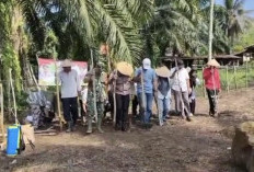 Desa Talang Sebaris Usahakan Penggemukan Sapi dan Pengembangan Kambing