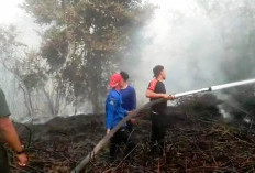  Begini Cara Mewaspadai Kebakaran   Musim Kemarau di Lebong