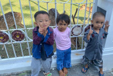 Rusa di Halaman Rumah Dinas Gubernur Jadi Tempat Rekreasi Keluarga