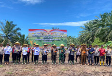  Perkuat Ketahanan Pangan Nasional,  Polres Benteng Tanam Jagung Serentak Kuartal IV, Segini Luas Lahannya