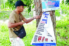 DLH Bengkulu Tertibkan Reklame Liar, Ini Tujuannya 