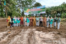 Desa Lalang Luas Gelar Penanaman Jagung Bersama, Dukung Program Ketahanan Pangan Nasional