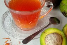  Viral di Media Sosial, Air Rebusan Biji Alpukat  Bisa Hancurkan Batu Ginjal!, Ini Faktanya 