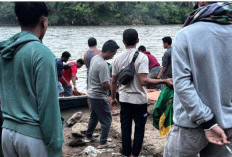  BREAKING NEWS: Setelah 3 Hari Pencarian, Korban Hanyut di Sungai Ketahun Ditemukan, Begini Kondisinya