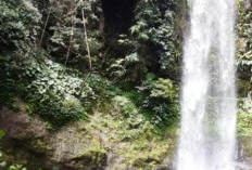 Obyek Wisata, Ada 6 Air Terjun di Desa Belitar Seberang, Berikut Daftarnya