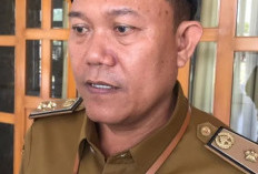 Disdikbud Turunkan Tim Awasi SPMB, Ini Peryataan Kepala Disdikbud Provinsi Bengkulu 