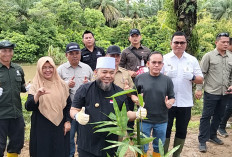Antisipasi Bencana, Gubernur Bengkulu Launching Gerakan Penanaman Pohon, Tepi Sungai Tak Boleh Ditanami Sawit