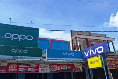  Smarthphone Vivo Tunggak   3 Tahun Pajak di Lebong, Segini Jumlahnya