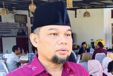 Menanam Padi Lebih Untung Dibandingkan Sawit, Ini Pernyataan Kepala Dinas TPHP Provinsi Bengkulu.