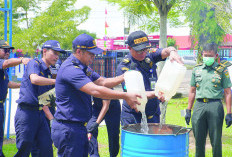 Perangi Minuman Alkohol Tanpa Izin, Ini Pernyataan Kepala KPPBC TMP C Bengkulu